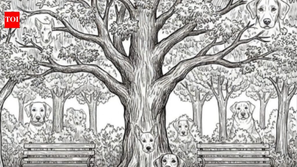 You are a genius if your sharp eyes can spot all dogs hidden in this deceptively simple park scene