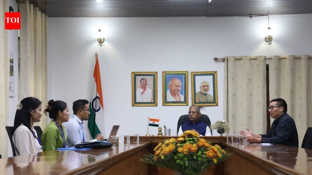 Nagaland records over 29K hectare rubber plantation | Guwahati News