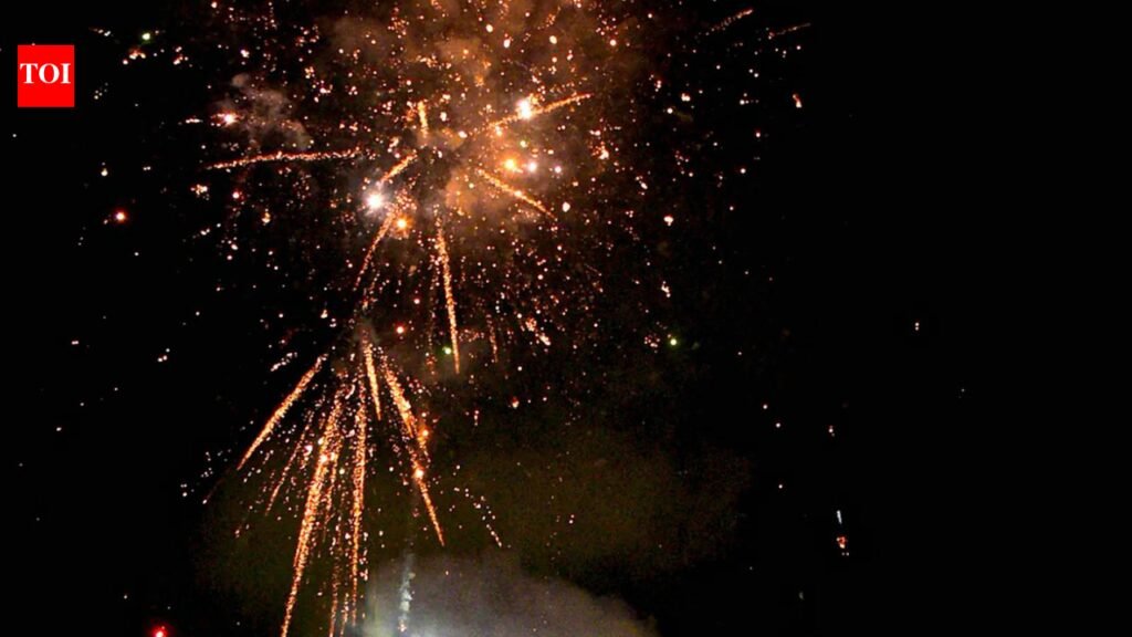 Government bodies differ, Centre to test green crackers afresh | India News