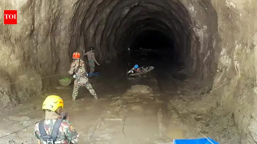 ’23 Silkyara ‘rat miners’ offer to join Nepal tunnel rescue | India News