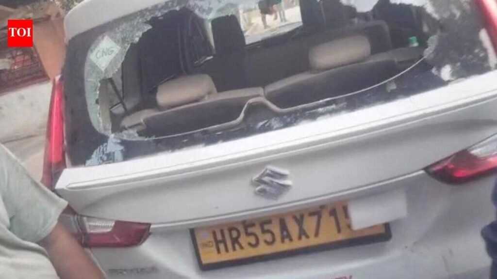 Civic team attacked while catching stray cattle, one held | Gurgaon News