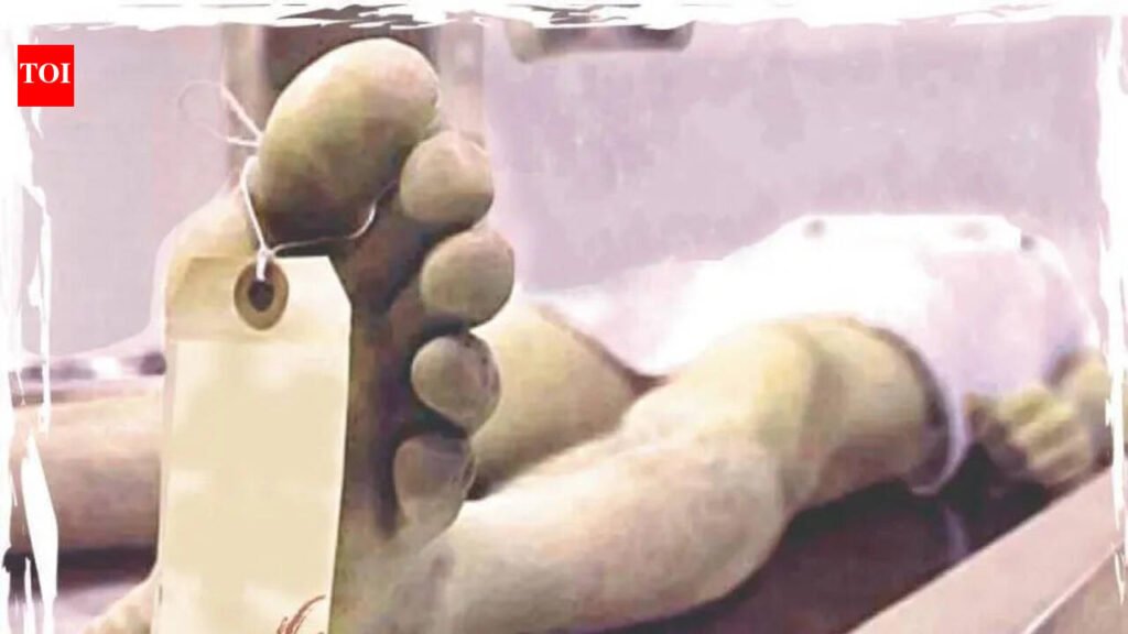 Contract worker dies at Koradi power plant | Nagpur News