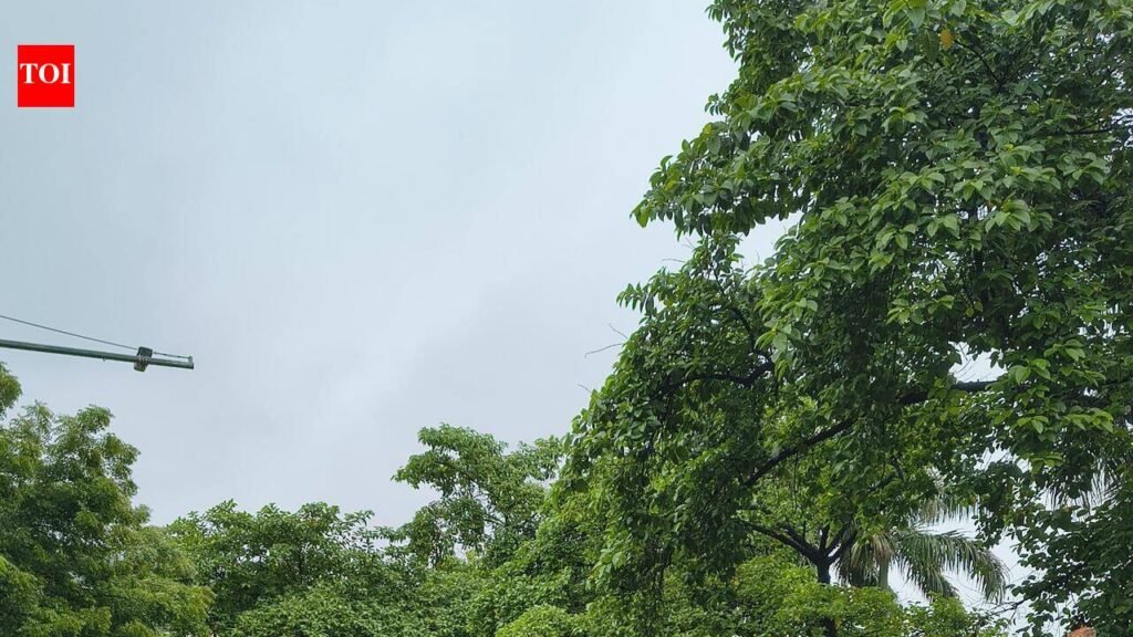 Rain exposes civic gaps, roads remain submerged | Lucknow News