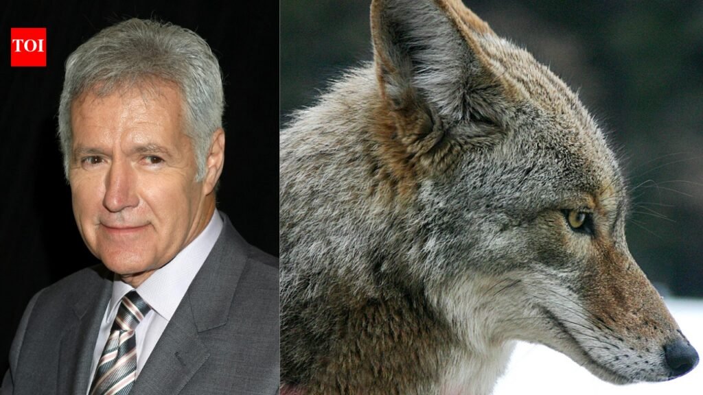 In 1998, Jeopardy! host Alex Trebek donated 74 Hollywood Hills acres worth $2 million, nearly doubling local parkland and protecting trails and a wildlife corridor for deer and coyotes