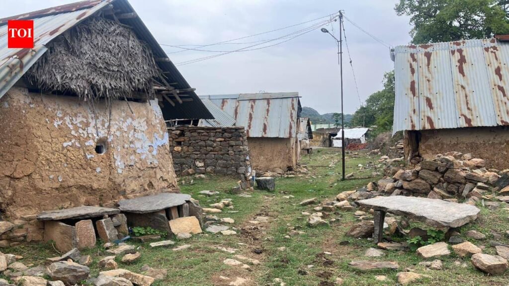 Megalithic burial site with Neolithic artefacts found in Krishnagiri district | Chennai News