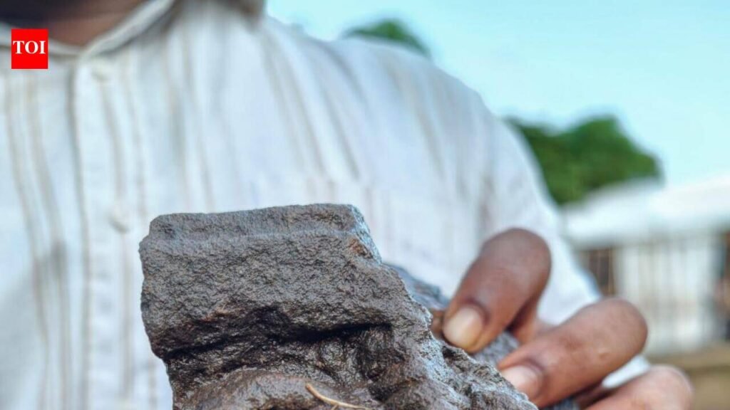 Stone relics discovered near Koti Tirtha tank at Divar | Goa News