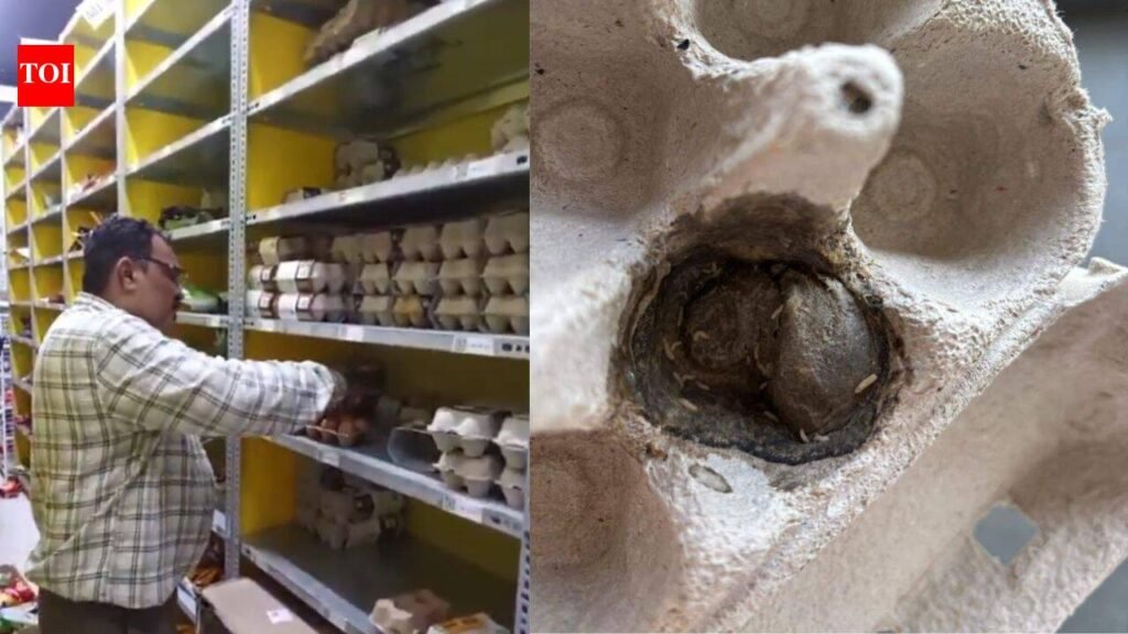 Worm in egg sets off food safety check at Mangaluru quick-commerce hub | Mangaluru News
