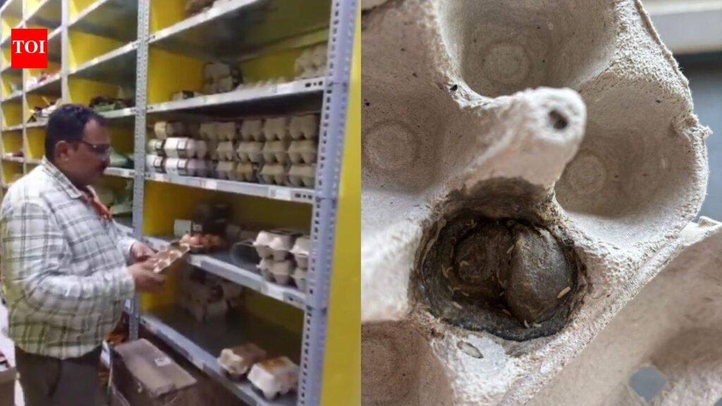 Worm found in egg bought online in Mangaluru; retail facility’s storage room sealed | Bengaluru News
