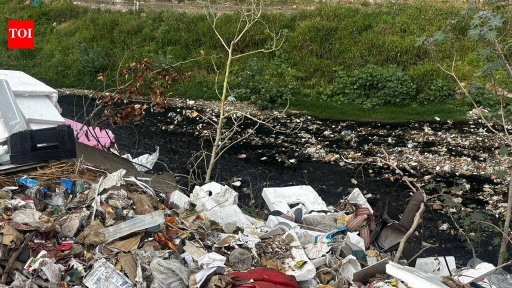 Residents living along Kartarpura nallah threaten poll boycott over years of neglect | Jaipur News