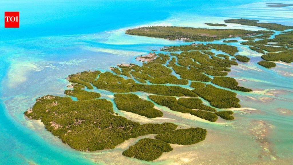 In 1956, a doctor bought a 7.9-acre Florida Keys island from the US at auction with residential zoning; 70 years later, his heirs won a decades-long fight over their right to build