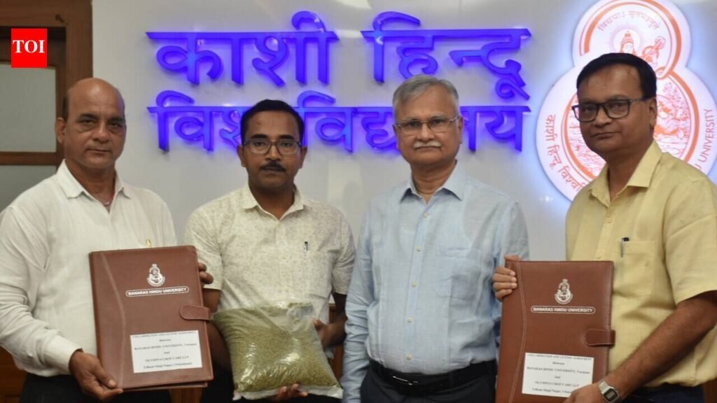 BHU transfers tech for commercial production of high-protein mungbean seeds | Varanasi News