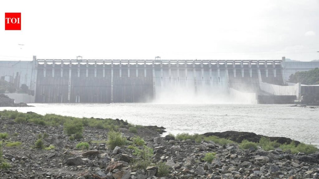 More Narmada water for farmers | Ahmedabad News