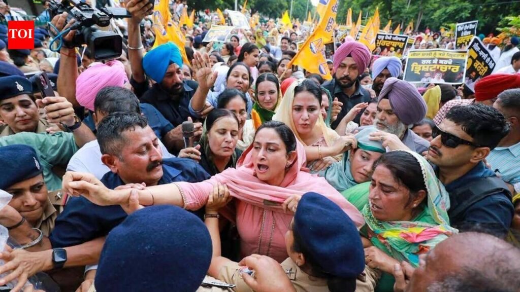 Corruption allegations against CM’s wife: Istri Akali Dal protests, seeks Mann’s resignation | Chandigarh News