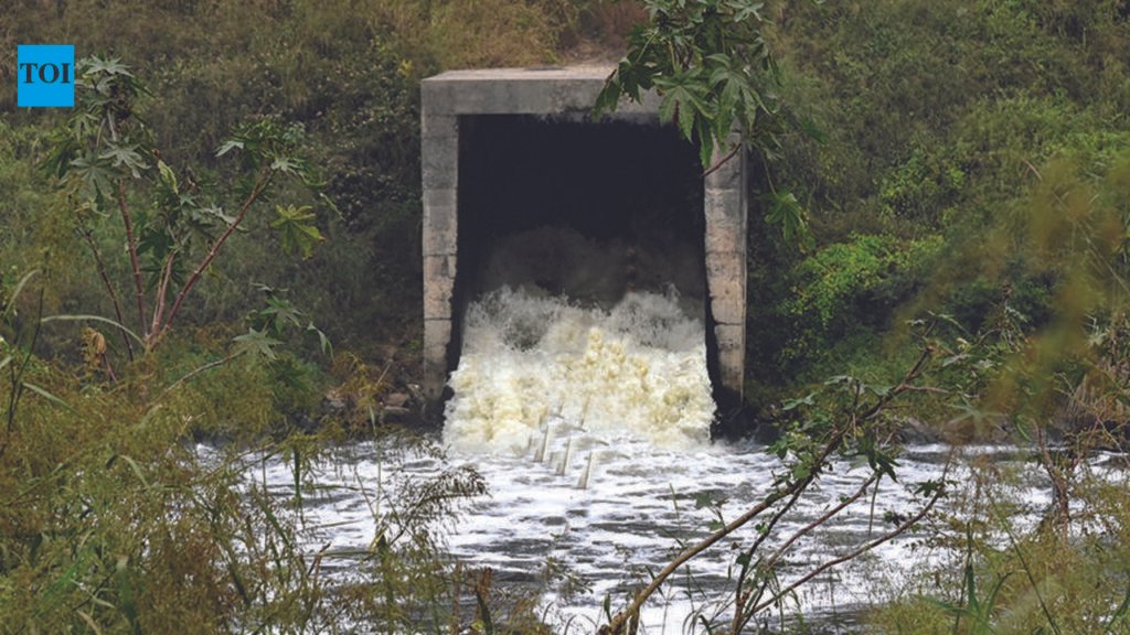 63 MLD sewage bypasses STPs as Gurgaon plans 977 MLD treatment capacity | Gurgaon News