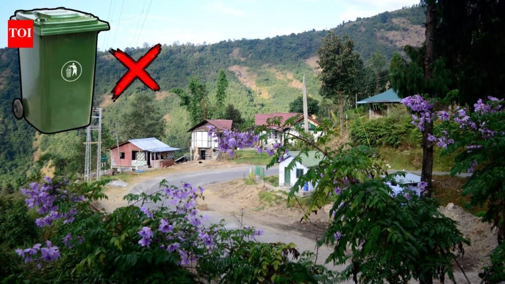 17 women, 300+ families, and zero public dustbins: How one Himalayan village tackled garbage and became one of the cleanest in India