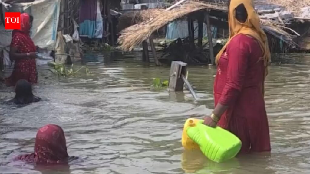 Bihar floods worsen as over 34L affected across 13 districts | Patna News