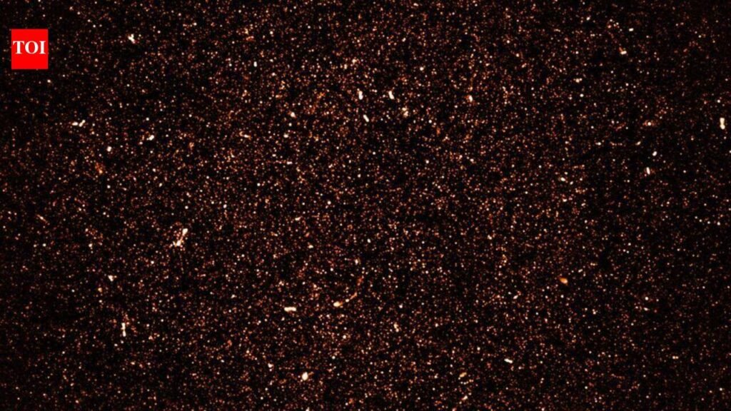 IUCAA’s massive radio astronomy data gets new global access through German centre | Pune News