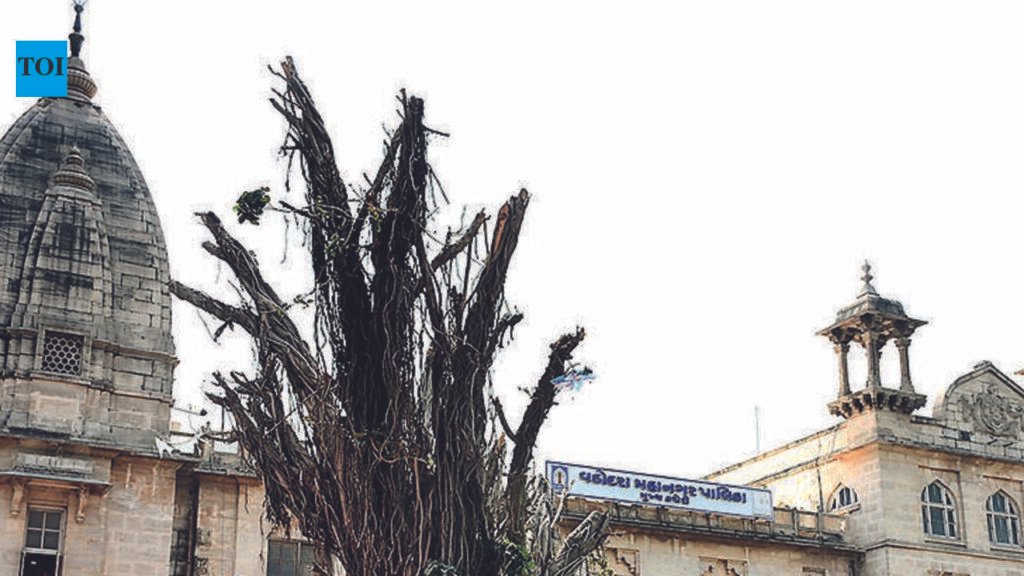 VMC shuts retail food unit over unhygienic conditions | Vadodara News