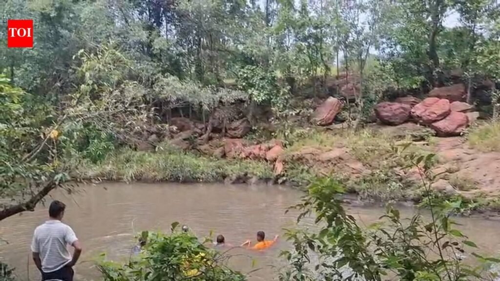 15-year-old drowns at Lalpathar waterfall in Jharsuguda | Bhubaneswar News