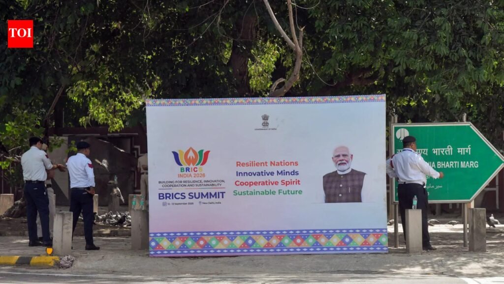 Creating a multi-layered security grid in Delhi, one Brics at a time | India News