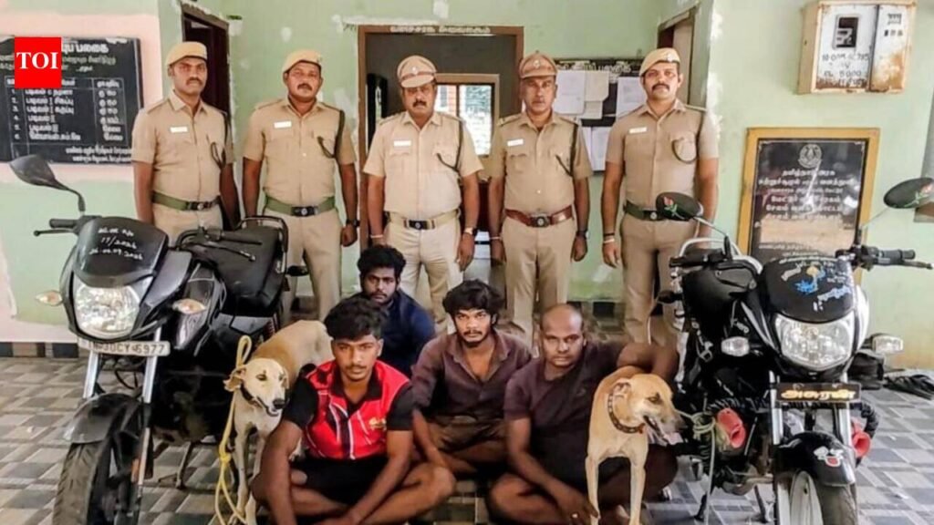 Four arrested for attempting to hunt rabbits in Mettur forest | Coimbatore News