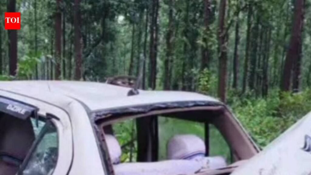 Man killed in accident in Hazaribag | Ranchi News