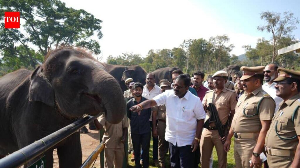 Forest minister inspects AI command centre, elephant camp in the Nilgiris | Coimbatore News