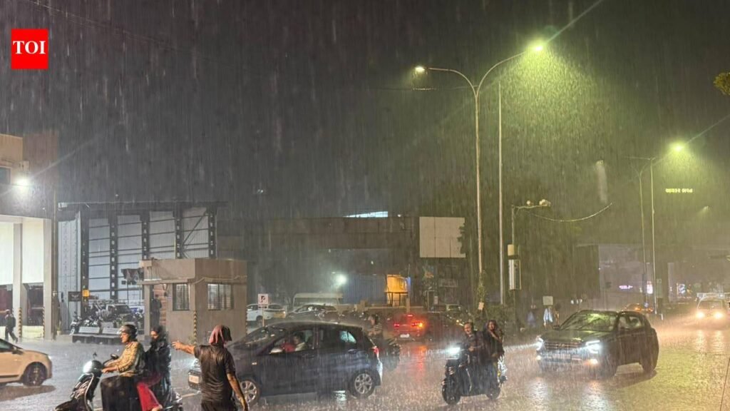 Rain returns to South Gujarat, 22 talukas get one inch | Surat News