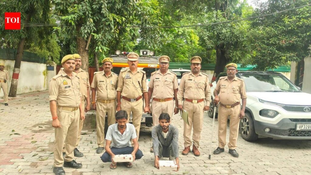 2 held for hunting porcupine in Barabanki | Lucknow News
