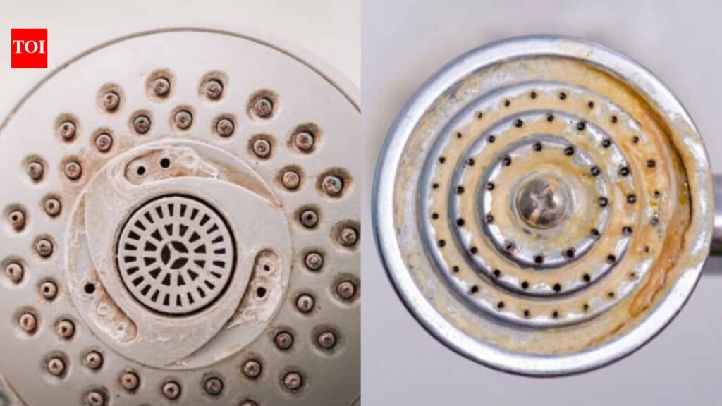 Limescale Removal: Neither vinegar nor baking soda: The simple cleaning trick that can remove limescale from shower holes and help restore water pressure