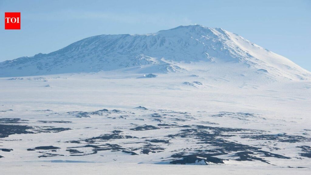 AI mapped 39,619 grounded icebergs around Antarctica for the first time; 93% are under 1 square kilometre and form a “picket fence” that helps hold sea ice in place