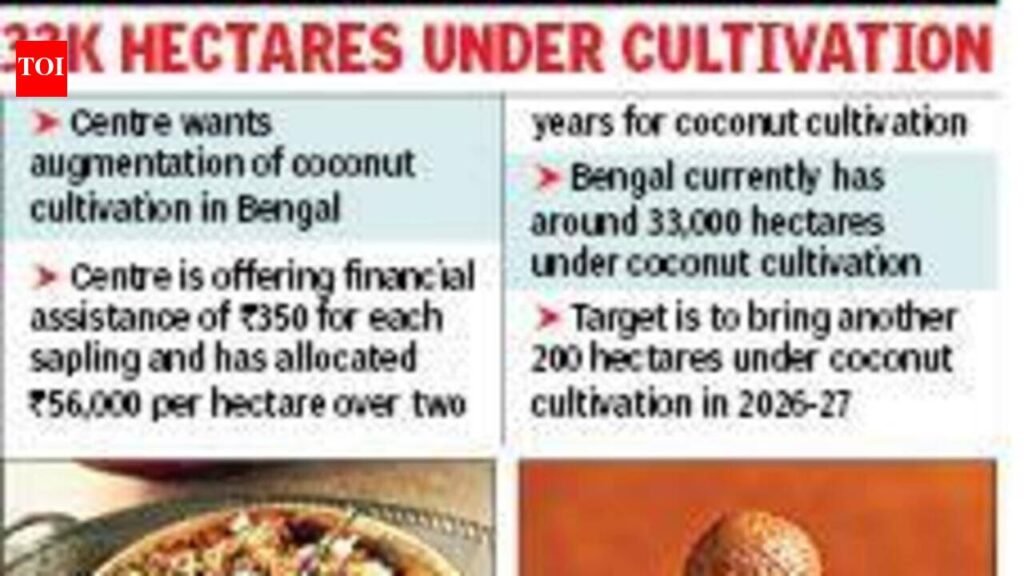 ‘Narkel naru’, ‘mochar ghonto’, ‘chholar dal’ at risk as coconut production dips in Bengal | Kolkata News
