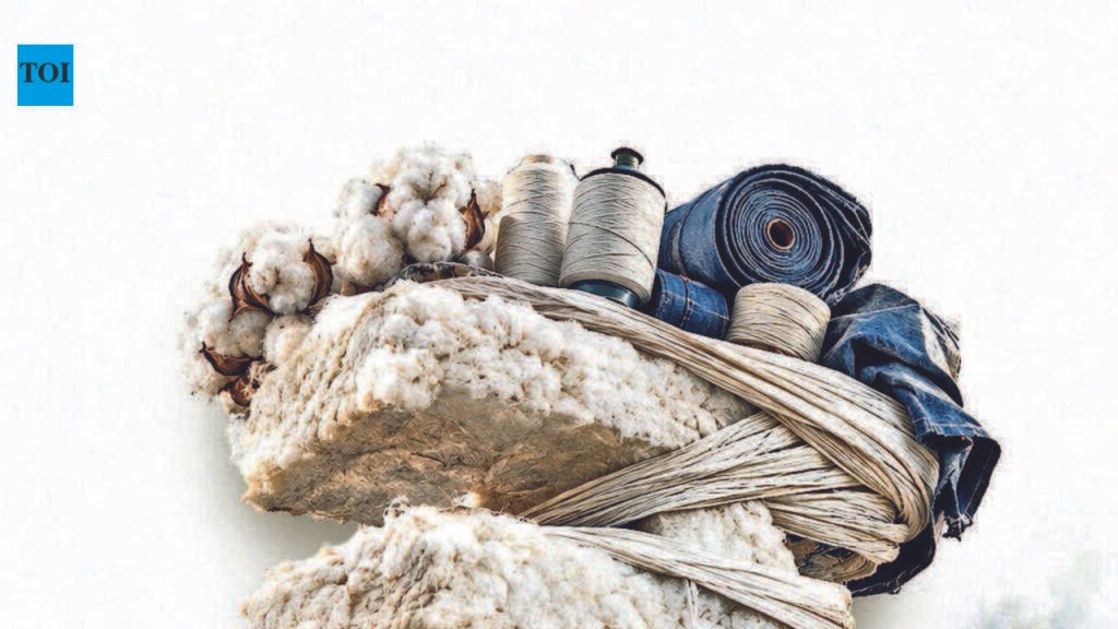 Times Dhandho: Gujarat’s fibre-to-fabric chain feels the strain from rising input costs | Ahmedabad News