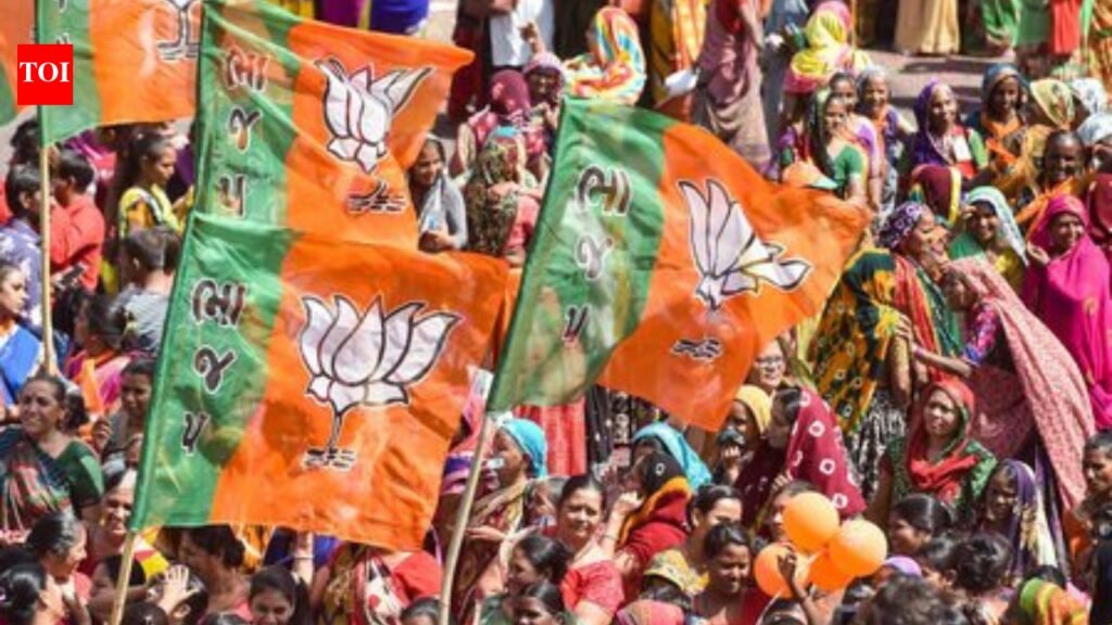 Rajasthan Local Body Elections: ‘Someone from that ward voted for me’: BJP candidate gets 1 vote in Rajasthan local body polls | India News
