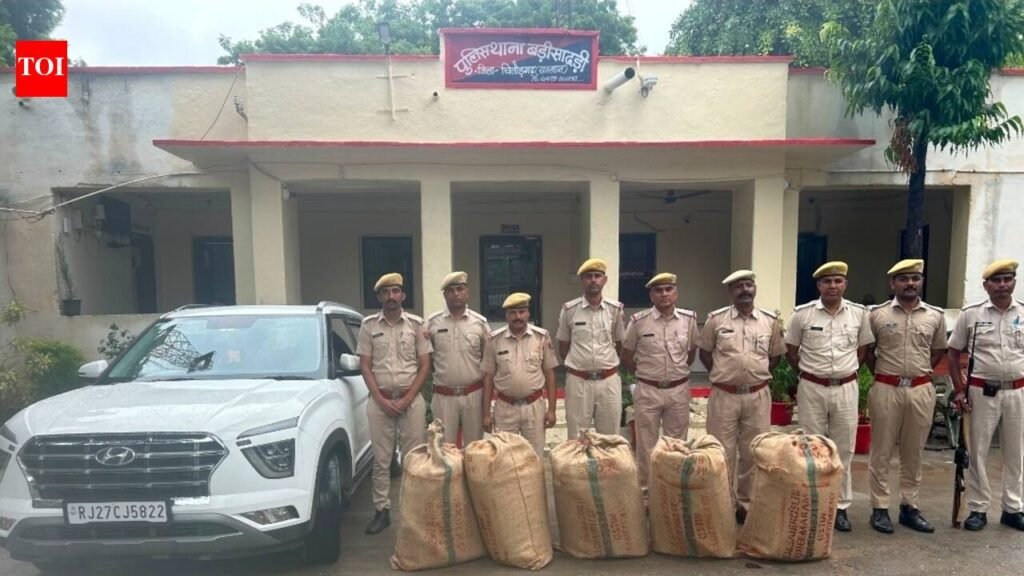 Chittor cops seize over 200kg illegal sandalwood, arrest two | Jaipur News