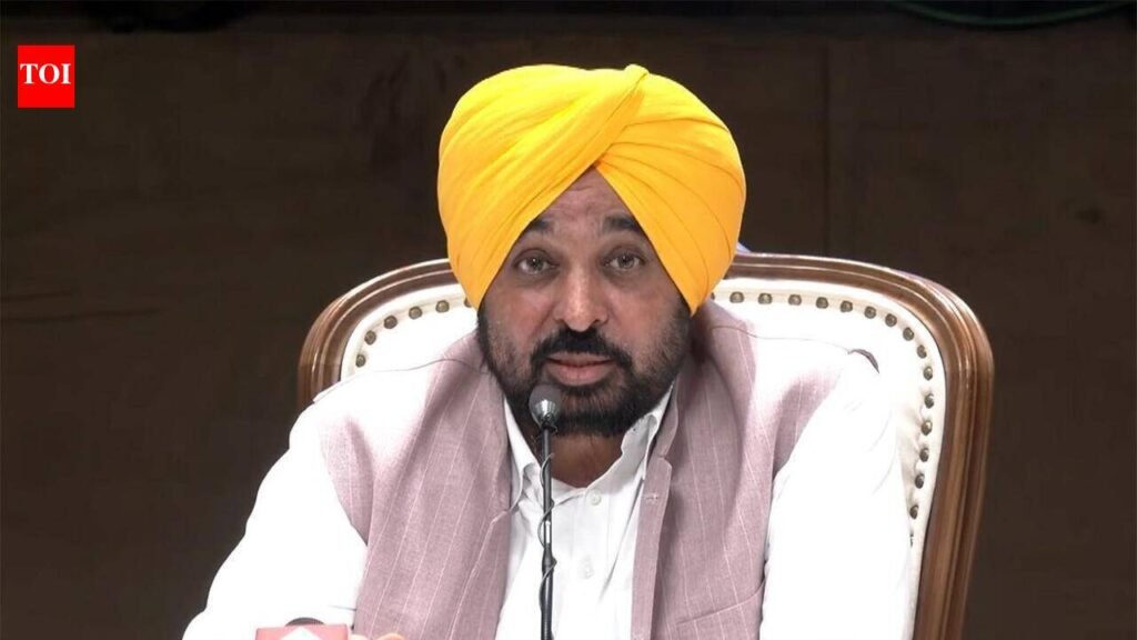 CM Mann slams BJP’s ‘Nasha Mukt Yatra’, says secure Gujarat’s Mundra Port first | Chandigarh News