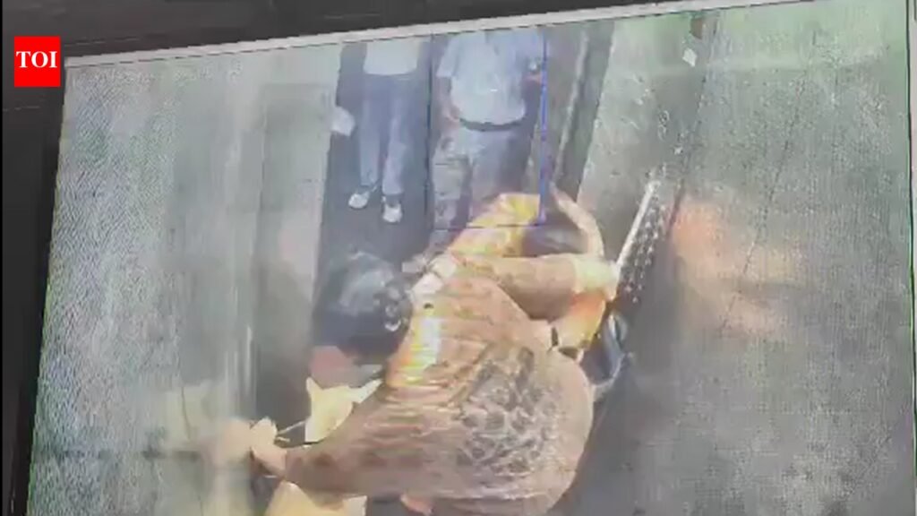 Dog owner stops woman from entering lift in Ghaziabad highrise, assaults her with stick | Noida News