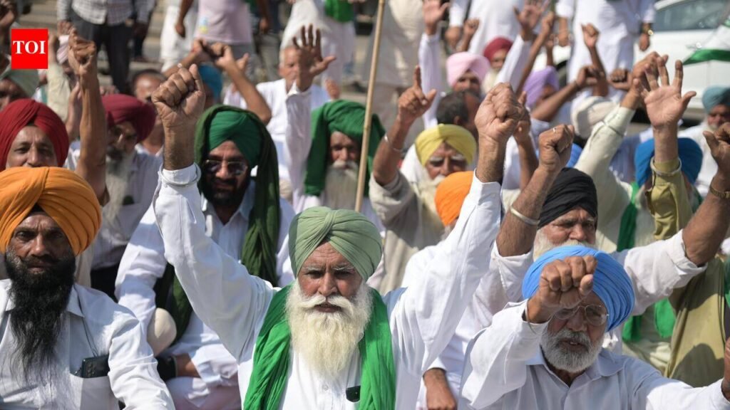 Farmers’ body opposes parallel power licence, warns of indefinite stir | Chandigarh News