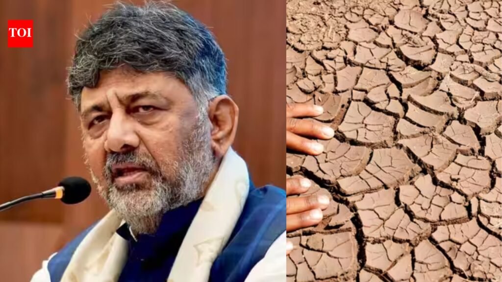 Karnataka drought: ‘Be mentally prepared’ for water, power shortage, says CM D K Shivakumar | Bengaluru News