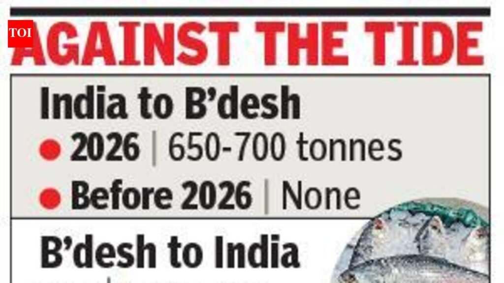 Reverse flow: Now, India set to export 700 tonnes of prized hilsa to Bangladesh | Kolkata News