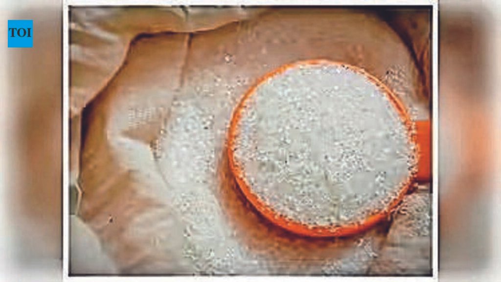Sugar price may drop to 50/kg before festive season: Min | Kolkata News