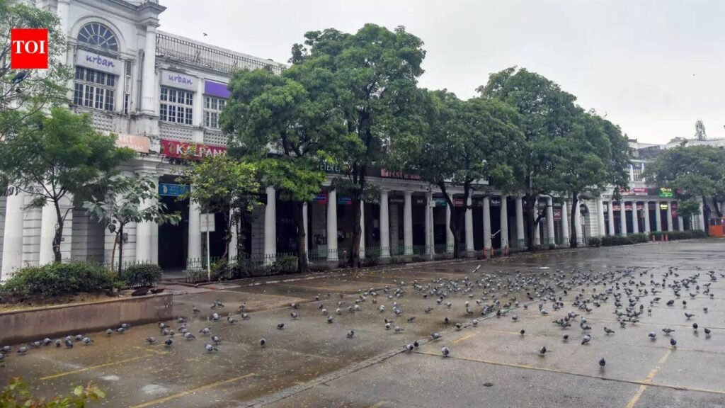 ‘Discretionary service charge’ of Rs 80 costs Connaught Place restaurant Rs 10,000 fine | Delhi News