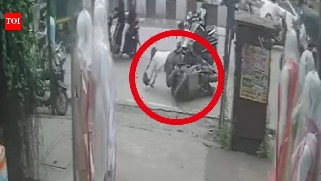 Businessman robbed in broad daylight on busy Kalyan street amid Ganesh festival security | Thane News