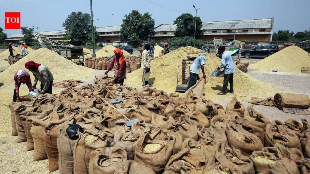 Paddy procurement registration opens for Kharif season | Chandigarh News