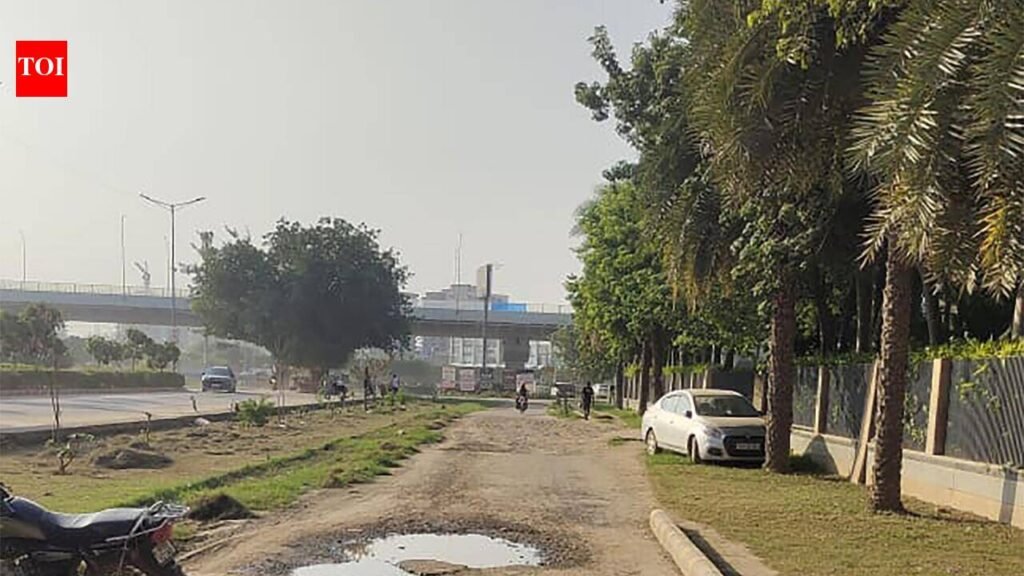 Two Dwarka e-way links in new sectors set for revamp in Gurgaon | Gurgaon News