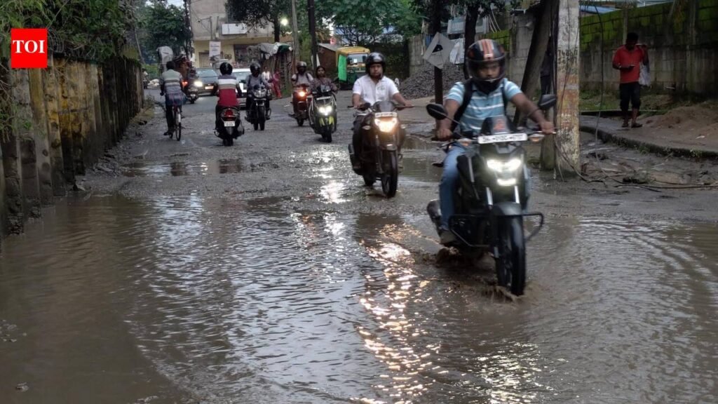 Orange alert in 20 districts for thunderstorms, lightning | Ranchi News