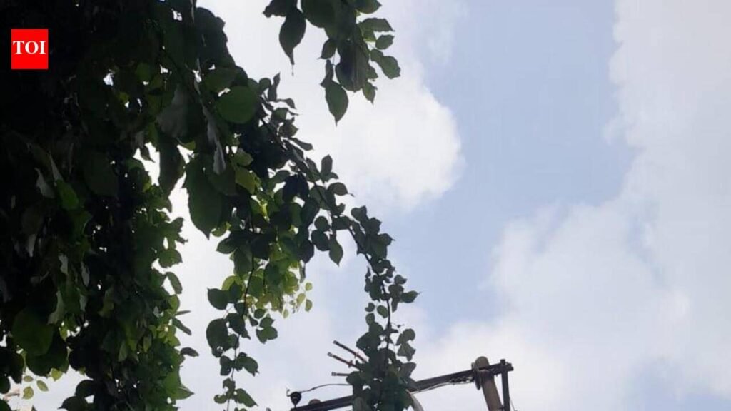 Indirapuram residents seek fixes for frequent power outages | Noida News