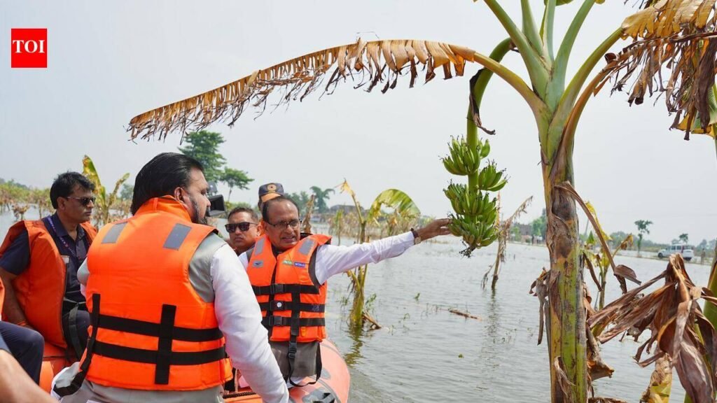 Centre to extend all help to flood-hit of Bihar: Chouhan | Patna News