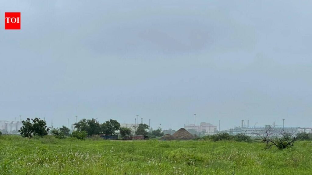 Maharashtra plans Land Titling Act by Dec to curb property disputes | Pune News
