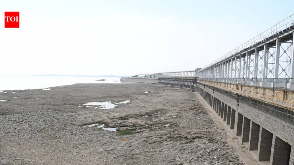 Malnad sees record heat as Cauvery dam levels drop to 56% | Mysuru News